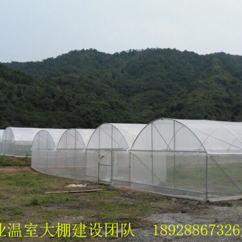 水果温室大棚/广东水果大棚造价/草莓大棚建设
