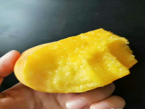 周至獼猴桃樹由育苗基地，品種