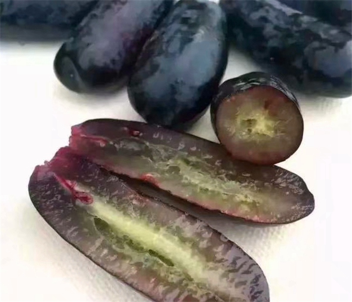 甜蜜藍(lán)寶石葡萄苗，甜蜜藍(lán)寶石葡萄苗夏剪技術(shù)規(guī)范