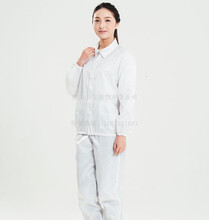 廠家直銷濱州食品廠用美安世家防靜電服無塵服圖片
