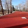 揚州彩色陶瓷顆粒路面多錢？揚州彩色道路施工