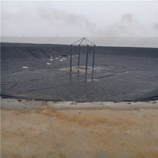 内蒙古扎赉诺尔区1.5cm排水板推荐咨询