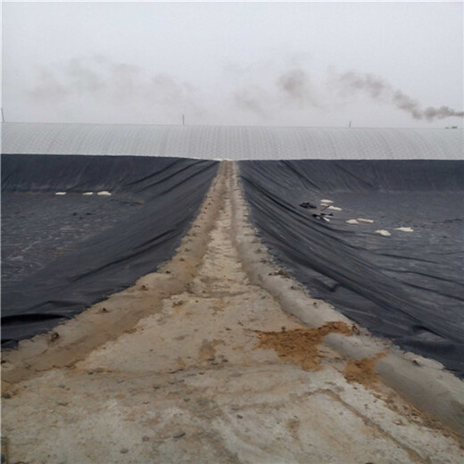 天津开发区4800g膨润土防水毯生产厂家服务价格