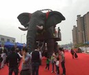 厂家最新推出蜂巢迷宫科技展动力火车机械大象出租出售