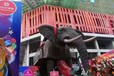 荆州会动会叫仿真恐龙出租16米会动会叫机械大象出租