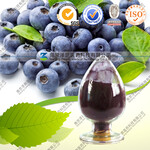 蓝莓提取物药食同源提取物固体饮料液体饮料压片糖果代加工OEMODM