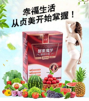 上海植物固体饮料贴牌ODM代工厂家