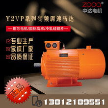 中达电机Y2VP-250M-4-55kW变频系列三相异步电动机
