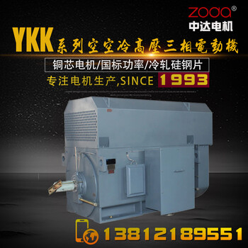 供应Y2-HV系列高压电动机Y2-HV400-4-220KW10KV电机zoda中达