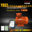 防爆電機(jī)隔爆型YBX3160L-4-11kW馬達(dá)ZODA品牌工廠