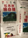 黑龙江哈尔滨绵白糖50kg/袋图片1