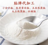 广东大豆肽粉代加工贴牌小分子活性肽OEM固体饮料加工图片5