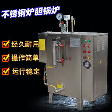 旭恩48KW蒸汽发生器全自动不锈钢蒸汽锅炉图片