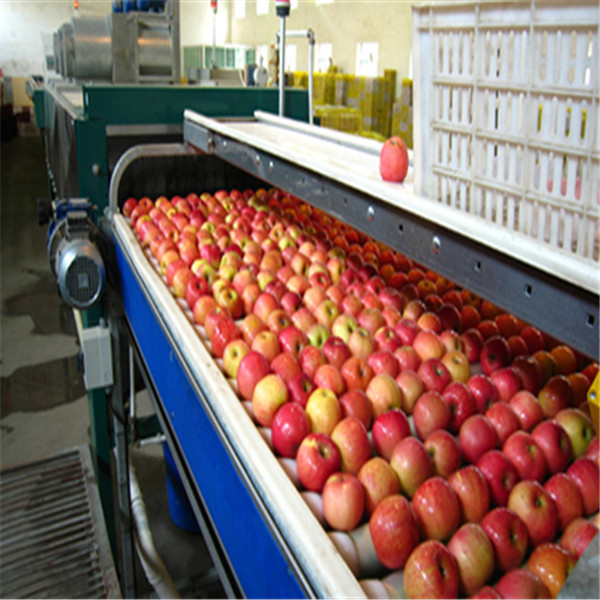 苹果汁生产线