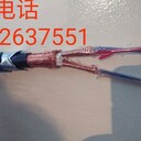 本安屏蔽信號軟電纜ZRIA-DJYVPR