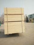 供应LVL杨木多层板包装级木方免熏蒸