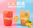 酒泉奶茶加盟，coco都可奶茶區域代理，臺灣大品牌圖片