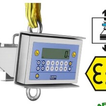 狄纳乔0.6吨1.5吨3吨6吨进口防爆吊秤