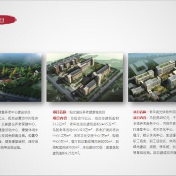 吳忠節(jié)能報告編寫