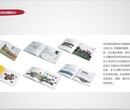 广州概念性规划设计方案-广州靠谱公司图片