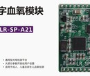 健康一体机：数字血氧脉率模块LR-SP-A21图片