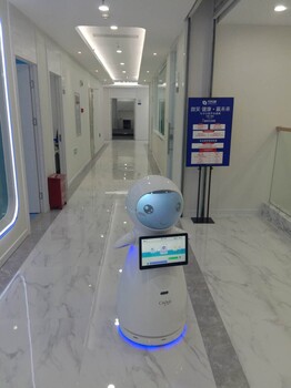 供应行政大厅机器人