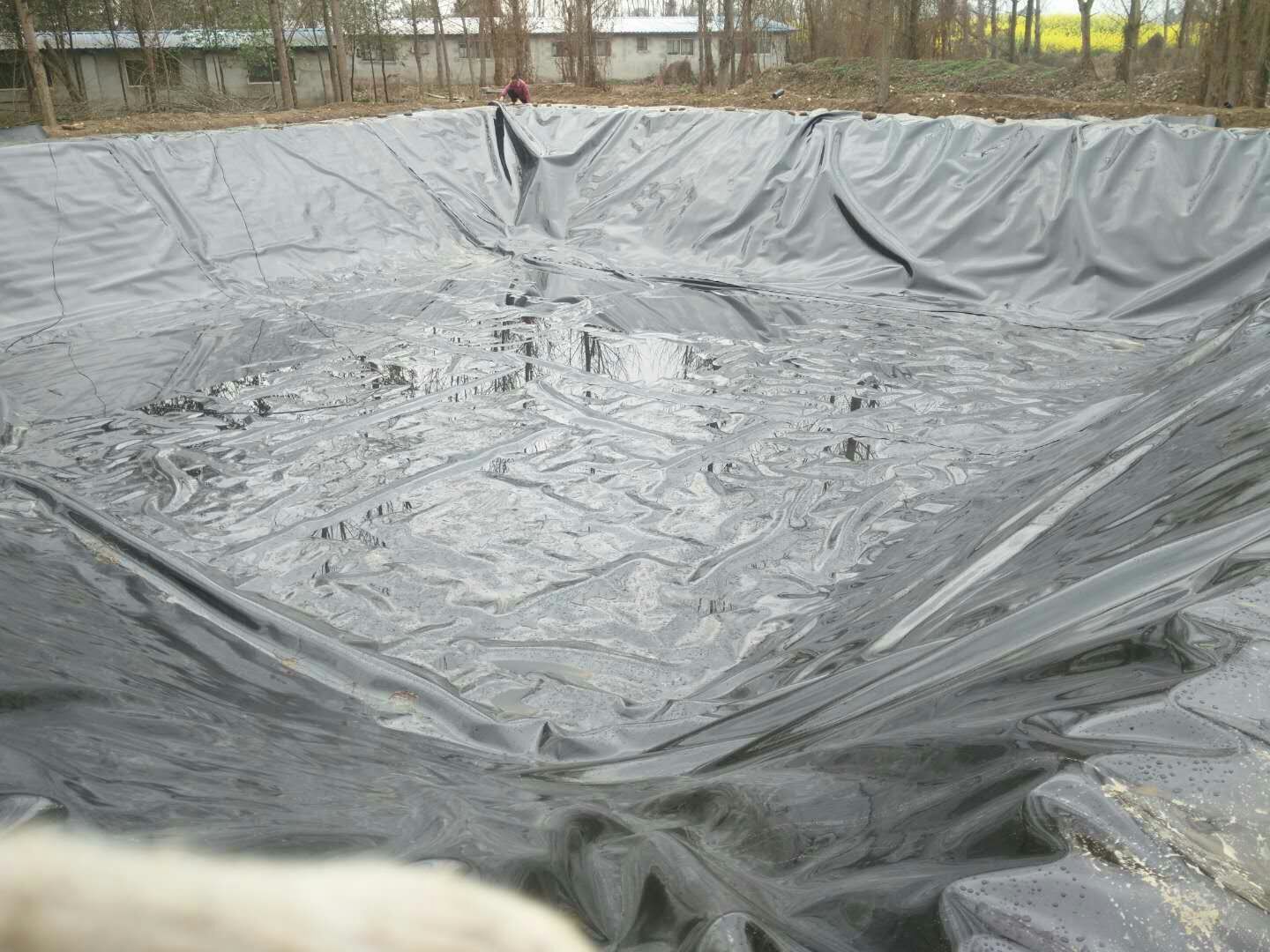 新疆EVA防水板厂家土工膜