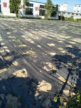园艺地布大棚果树防草布-透水保墒