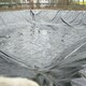 江苏HDPE防水板图
