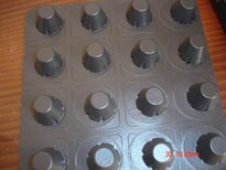 新疆排水板质量可靠,塑料凹凸排水板图片5
