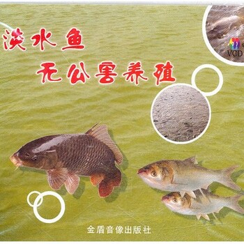 四大家魚(yú)養(yǎng)殖技術(shù)大全視頻教程池塘魚(yú)苗培育混養(yǎng)草魚(yú)鳙魚(yú)鯽魚(yú)養(yǎng)殖技術(shù)視頻