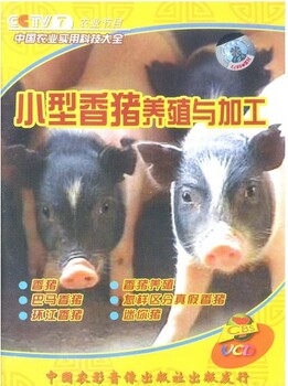 巴马香猪养殖技术大全视频教程小香猪能长多大藏香猪养殖技术视频