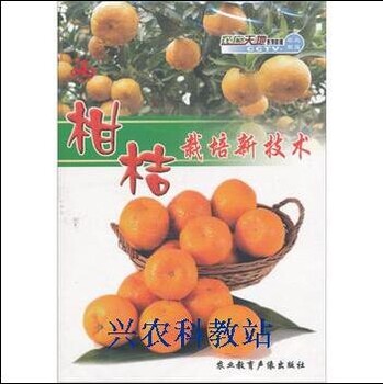 贡柑种植技术大全视频教程砂糖橘柑桔怎么修剪皇帝柑种植技术视频