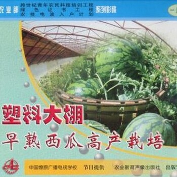 新大棚西瓜種植技術(shù)大全視頻教程西瓜怎么育苗早熟西瓜栽培技術(shù)資料