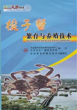 梭子蟹养殖技术大全视频教程资料海螃蟹怎么土池育苗青蟹养殖技术视频