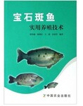 石斑鱼养殖技术大全视频教程宝石斑鱼怎么育苗淡水石斑鱼养殖技术视频