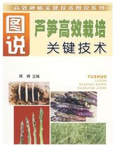 芦笋种植技术视频教程大全芦笋怎样种温室大棚芦笋栽培技术视频资料图片