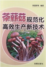 茶树菇种植技术视频教程大全茶树菇如何栽培技术资料图片