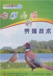 七彩山鸡养殖技术视频教程山鸡苗孵化管理野鸡养殖技术大全资料