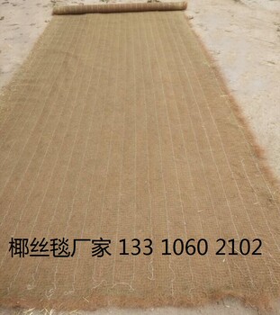 生態(tài)毯椰絲毯邊坡修復環(huán)保草毯植物纖維毯麻椰固土毯