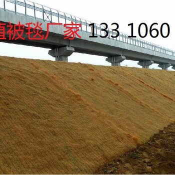 椰絲毯植物纖維毯護坡施工抗沖生物毯環(huán)保草毯植被毯