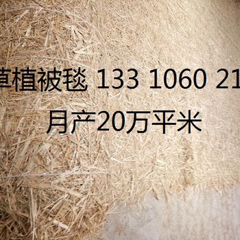 椰絲毯環(huán)保草毯抗沖生物毯麻椰固土毯河道綠化