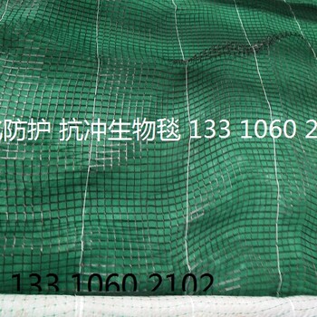 生態(tài)植被毯穩(wěn)固邊坡環(huán)保草毯椰絲毯生態(tài)毯廠家