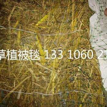 青海椰丝毯植物纤维毯环保草毯cf网生态毯边坡修复