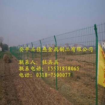 绿色铁丝网道路防护养殖隔离围栏双边防护网生产厂家