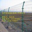 绿色铁丝网双边防护围栏陆地常用安全防护栅网图片