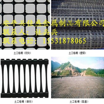 钢塑土工格栅路基防护格栅网黑色塑料网生产厂家