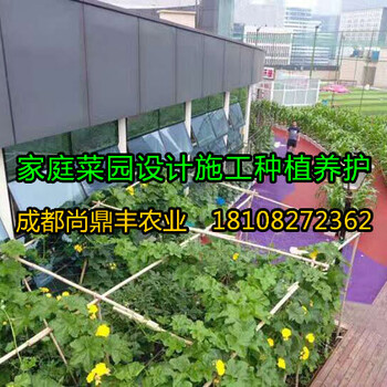 成都市阳台菜园种植服务公司选尚鼎丰梦田都市农场