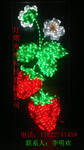市场led景观亮化草莓造型灯，led荔枝造型灯