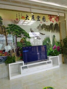 深圳彩印设备制造商供应集成墙饰板uv打印机
